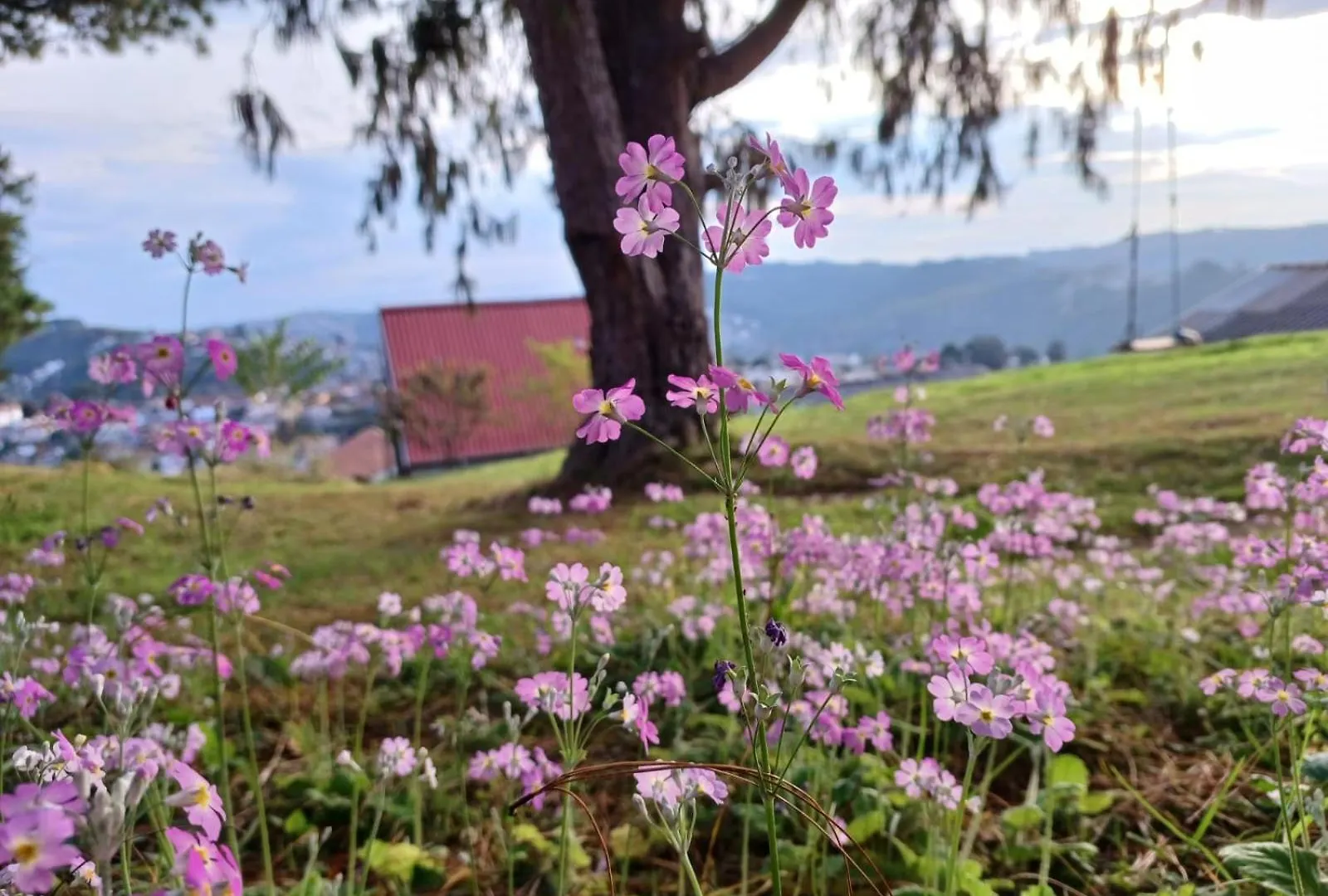 Chales Alto Da Serra 2 Campos do Jordao Tatil Evi